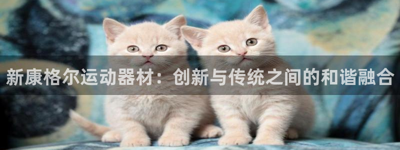 xk星空体育官网下载平台假的吗是真的吗：新康格尔运动
