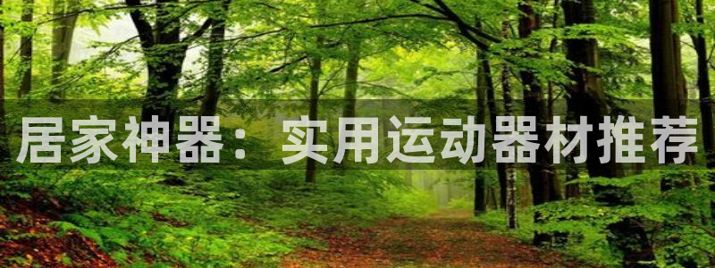 xk星空体育官方正版app开户：居家神器：实用运动器