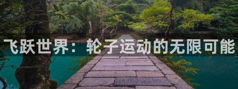 xk星空体育官方正版app娱乐首页官网下载：飞跃世界