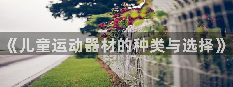 xk星空体育官网下载平台注册要钱吗安全吗：《儿童运动