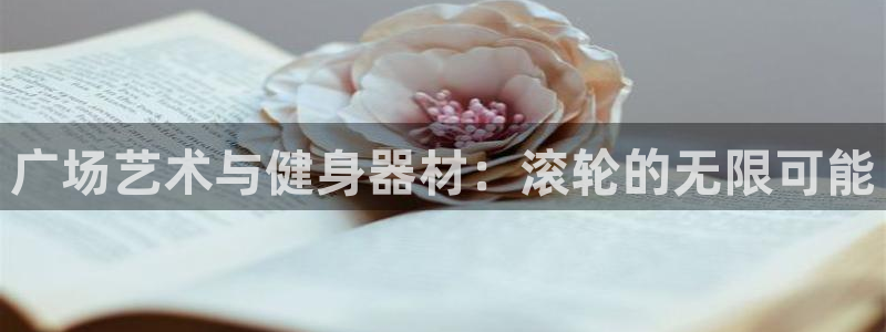 xk星空体育官方正版app科技：广场艺术与健身器材：滚轮的无