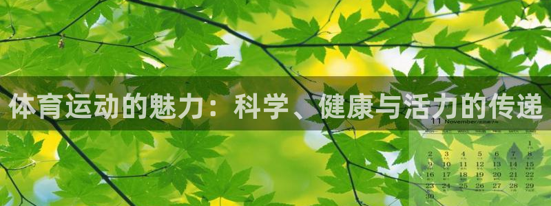 oety欧亿