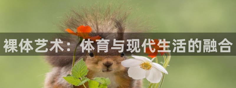 oety欧亿