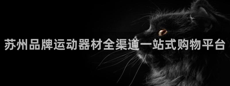 xk星空体育官网下载平台注册要钱吗安全吗：苏州品牌运动器材全